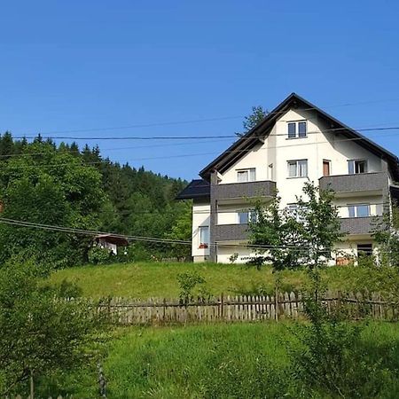 Casa Danci Centru Villa Borşa Eksteriør bilde