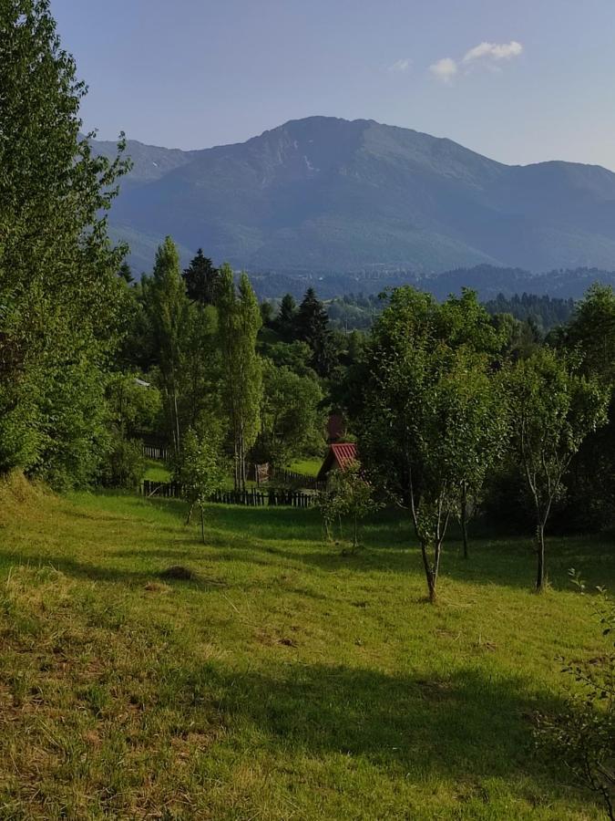 Casa Danci Centru Villa Borşa Eksteriør bilde