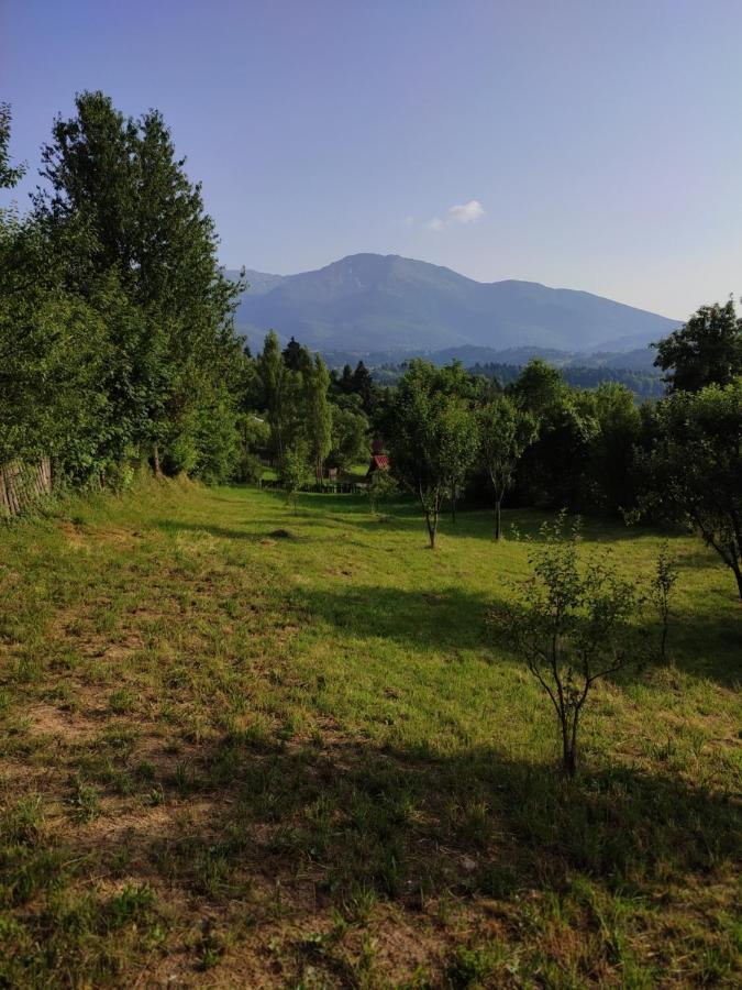 Casa Danci Centru Villa Borşa Eksteriør bilde