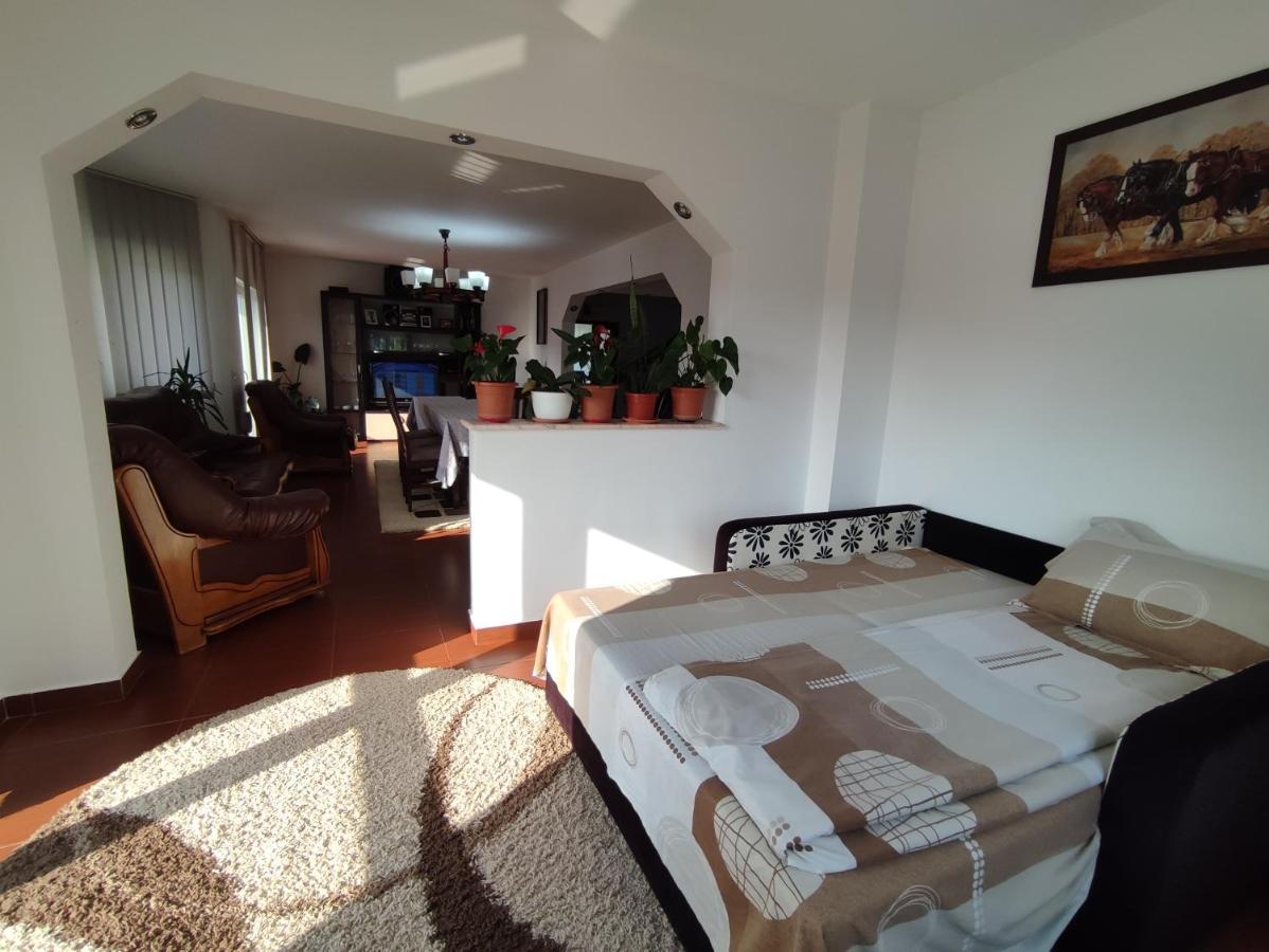 Casa Danci Centru Villa Borşa Eksteriør bilde