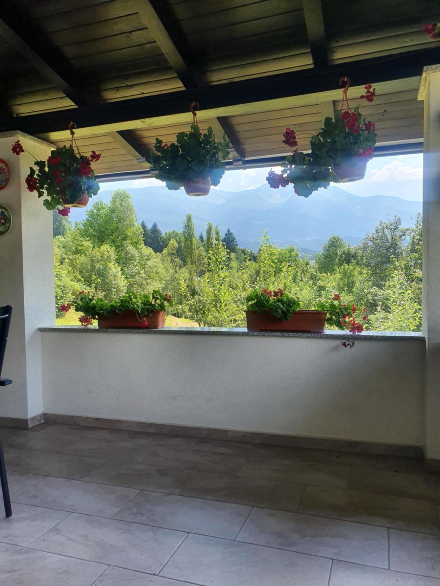 Casa Danci Centru Villa Borşa Eksteriør bilde